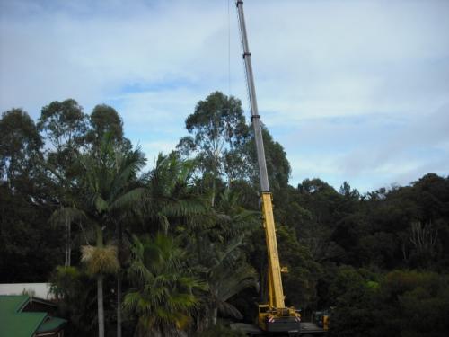 Crane Assisted Tree Removal 4