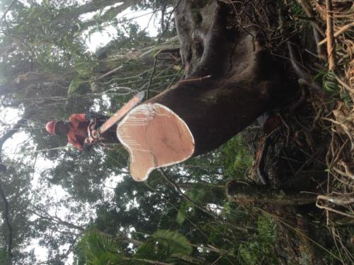 Mt Warning Storm Works 2