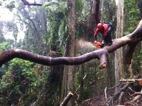 Mt Warning Storm Works 3