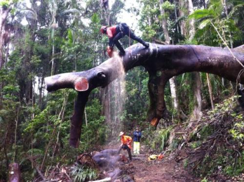 Mt Warning Storm works 1