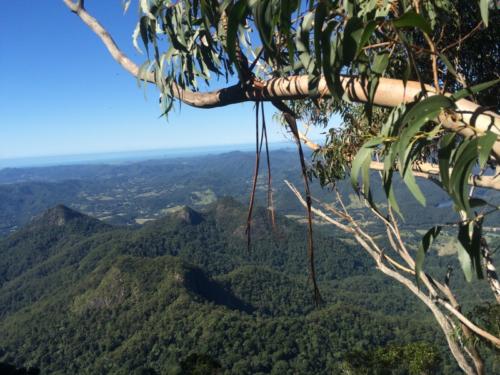 Wollumbin views 5